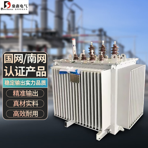 鼎鑫电气 S22-250kVA-10/0.4kV-NX1 全密封油浸式全铜绕组能效1级三相10kV电力变压器