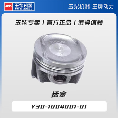 玉柴机器原厂发动机活塞Y30-1004001-01